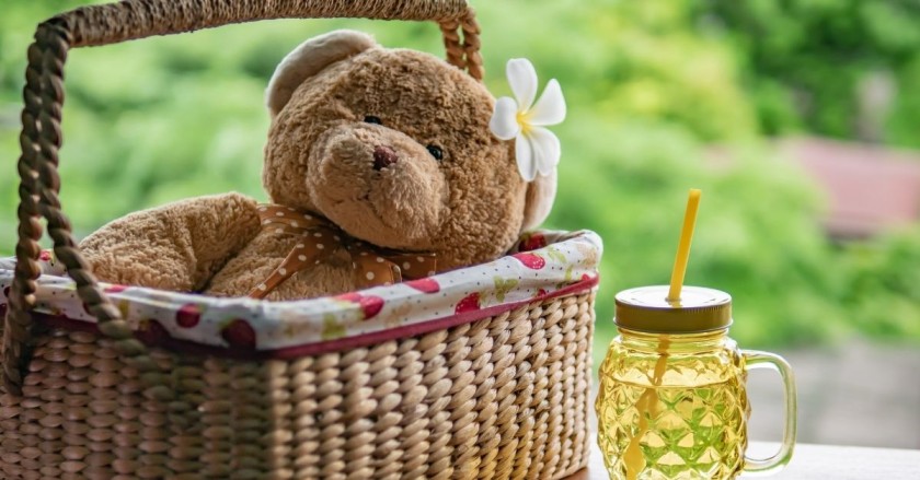 A picture of a teddy bear picnic, which is one of the 5 activities for the last day of school