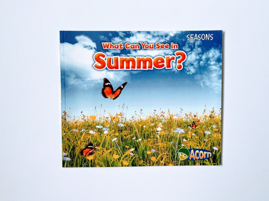 A picture of the book, What Can You See in the Summer?