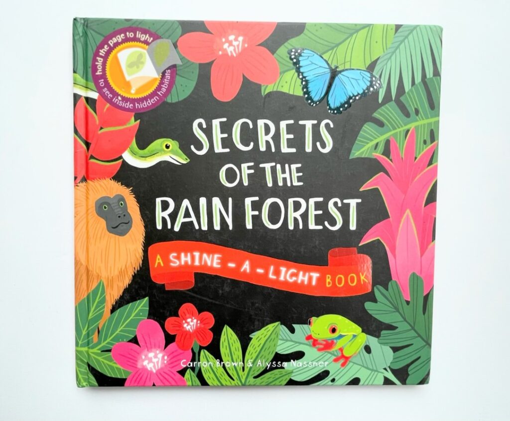 5 Rainforest Books for Primary Students